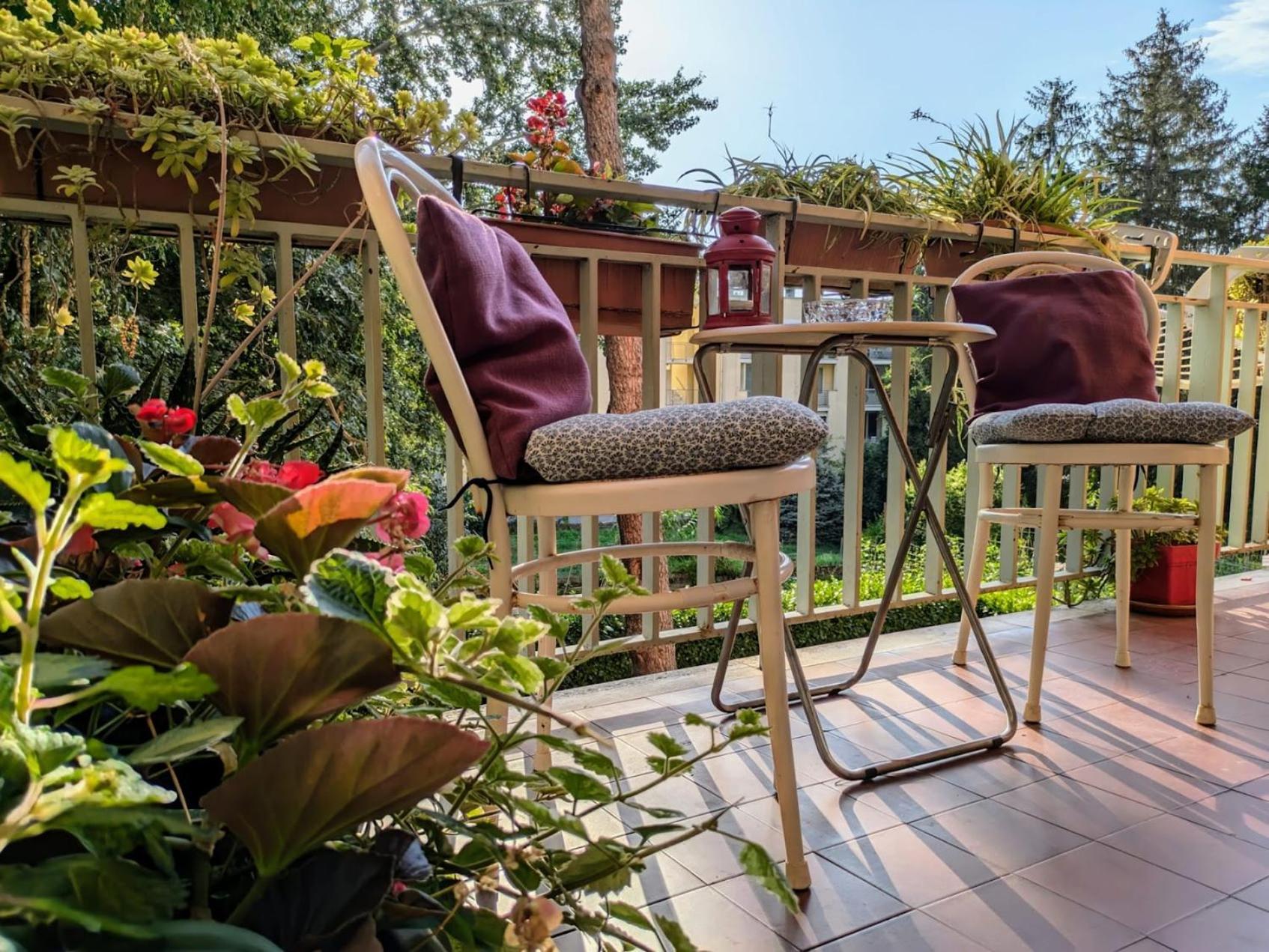 Appartamento Viale Puccini - Free Gated Parking - 3 Minutes From Center Lucques Extérieur photo